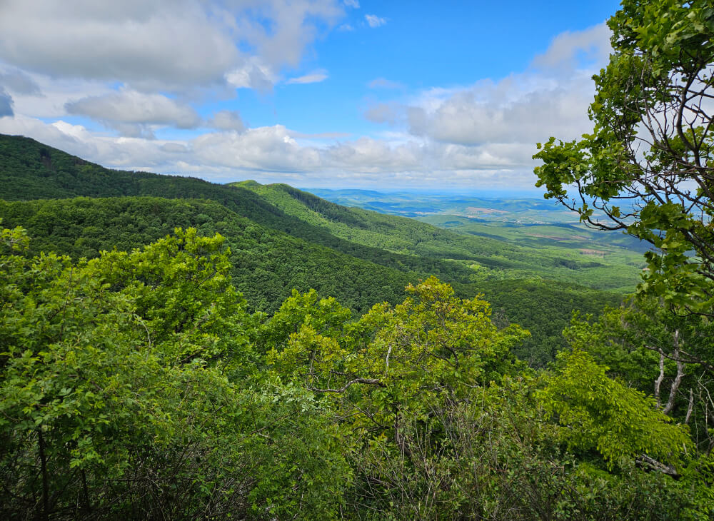 hegyek zöld látványa egy másik hegy oldalából